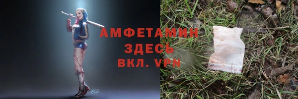 мет Каменка