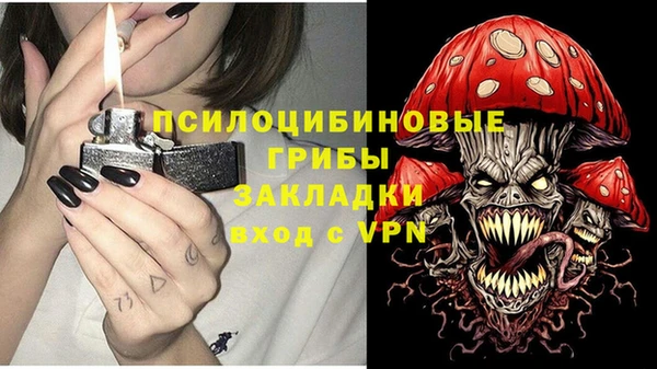 мет Каменка