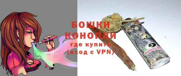 тгк Каменногорск