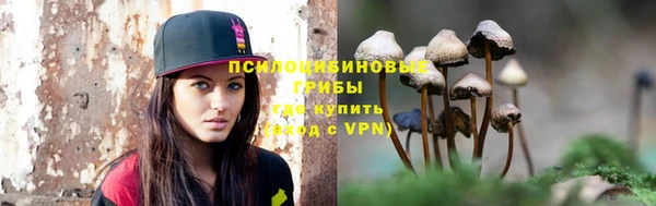 мет Каменка