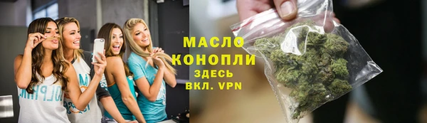 тгк Каменногорск