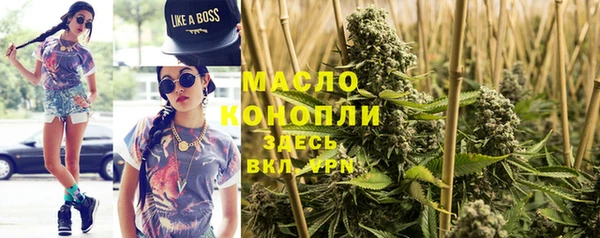 тгк Каменногорск