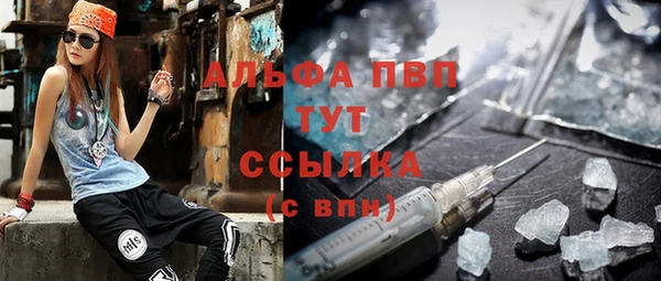 тгк Каменногорск