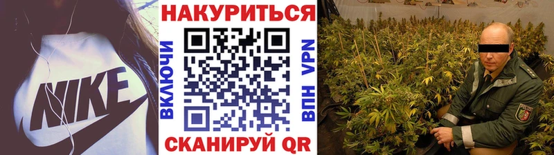 МАРИХУАНА тримм  Купить закладки  Курчалой 